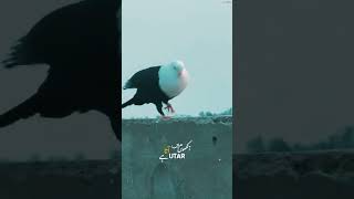 e132cd55d9ad3cdcd00b53f06e1e616e 1773810997616