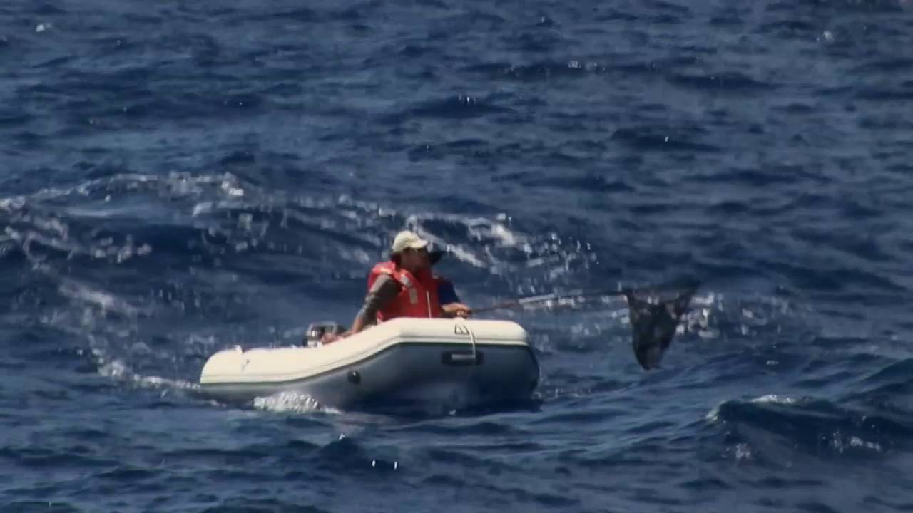 KQED video on Project Kaisei