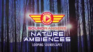 Soundrangers Nature Ambiences - Looping Soundscapes