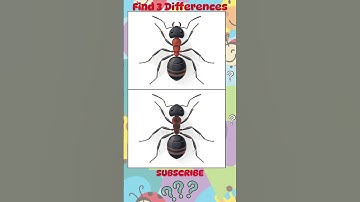 Can You Find the 3 Differences? #150