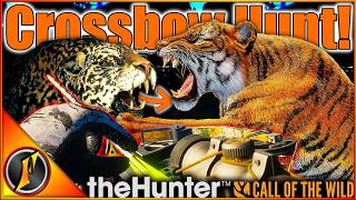 Hunting Tigers with the CROSSBOW to Prepare for PERU! | theHunter Call of the Wild