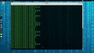 ARP Poisoning Python example