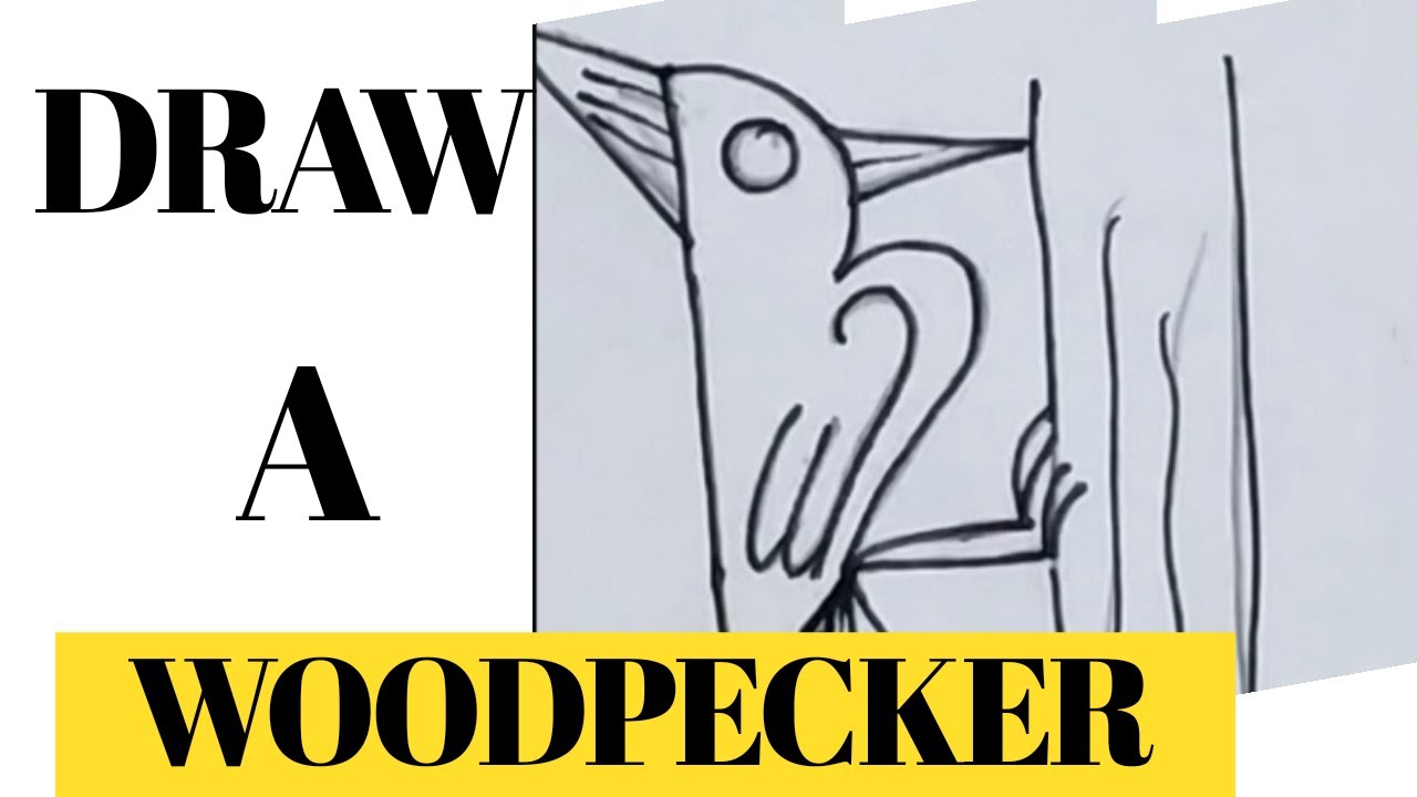 HOW TO DRAW A WOODPECKER USING NUMBER #12