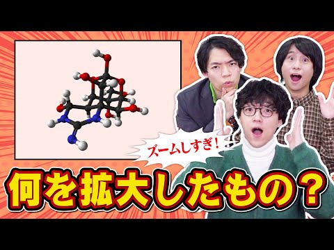 【顕微鏡超え】やりすぎズームアウトクイズ！