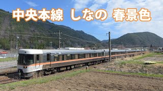 383系 特急「しなの」春景色　【 中央西線 】列車走行動画 ４K 2024年４月