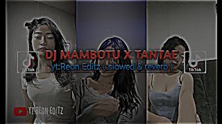 DJ MAMBOTU X TANTAE ( SLOWED & REVERB )🎧