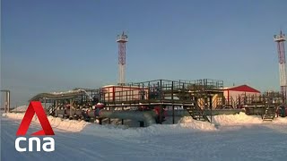 Ukraine halts some Russian gas flows to Europe
