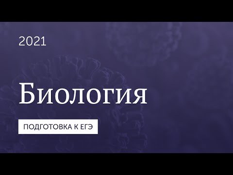 Подготовка к ЕГЭ 2021. Биология.