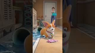 Moco Dogs And Yammy Funny Video