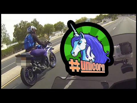Spacep0d Plays With an R3-Riding Unicorn in the Wild!