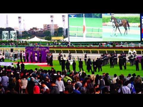 アコモさん 第152回 天皇賞（秋）国歌斉唱