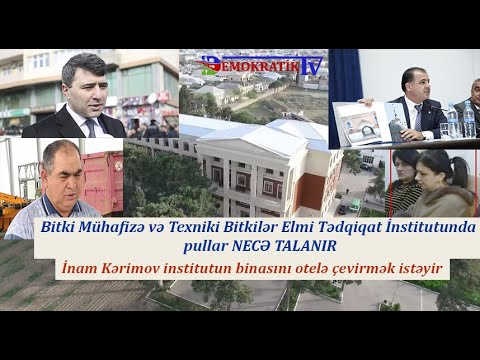 Video: Niyə Bitkilər 