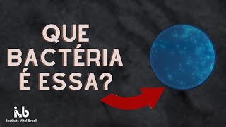 Pseudomonas, já ouviu falar?