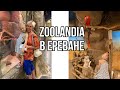 Армения/Ереван: голубая мечеть 🕌/Zoolandia Exotarium в ТЦ РИО
