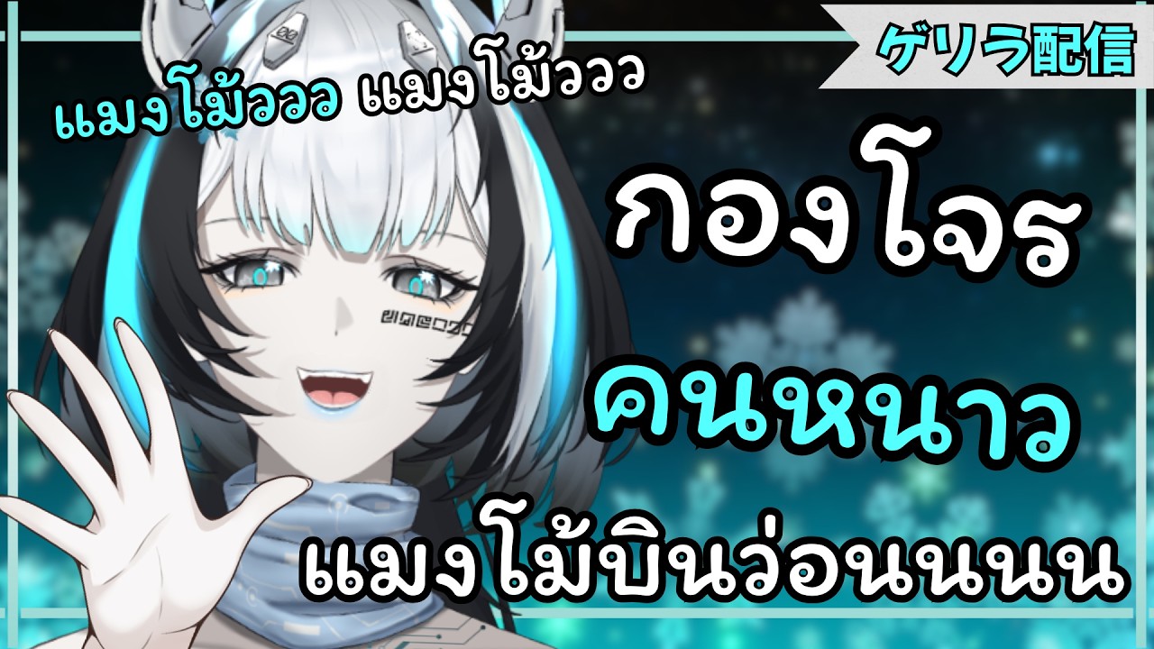 【กองโจรคนหนาว】แมงโม้ววว แมงโม้ววววว บินว่อนเลย!!