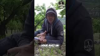 Découverte Archéologique: Quand Déclarer vos Trouvailles? #shorts