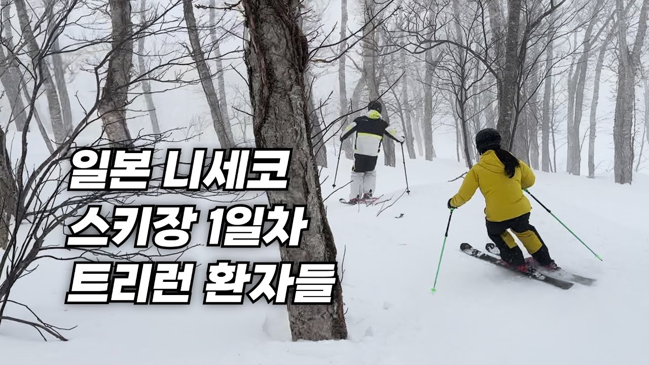 나무만 보이면 들어가버리기~ㅣ니세코 스키투어 1일차 Vlog