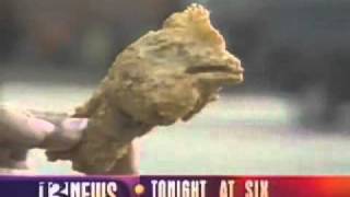 McDonalds Disgusting Food Scandal - 13 news - YouTube.flv