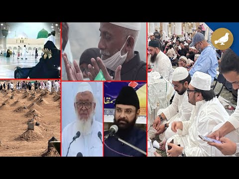 Siasat ki khabrein 23rd Nov 2025