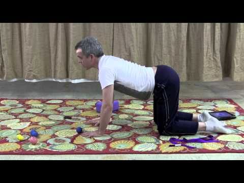 Cat Cow for the spine, shoulders and low back and whole body