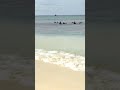 Ocean - Sea - Wave - Surf - Beautiful day - Cabo Verde - Sal