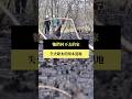 【#預告｜牠們回不去的家】公視｜我們的島6／8(一)晚間十點 #shorts