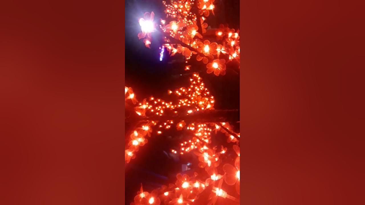 Christmas tree red lights YouTube