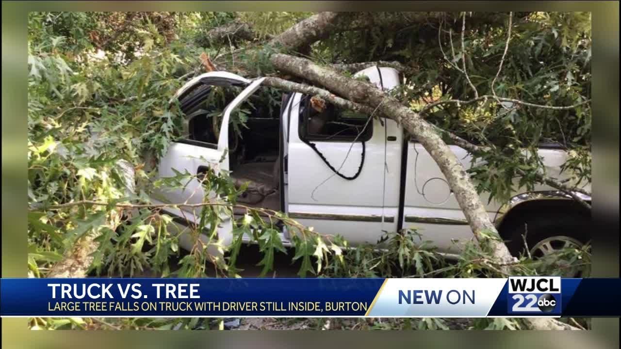 Tree falls on pickup truck in Burton, driver escapes with no injuries ...