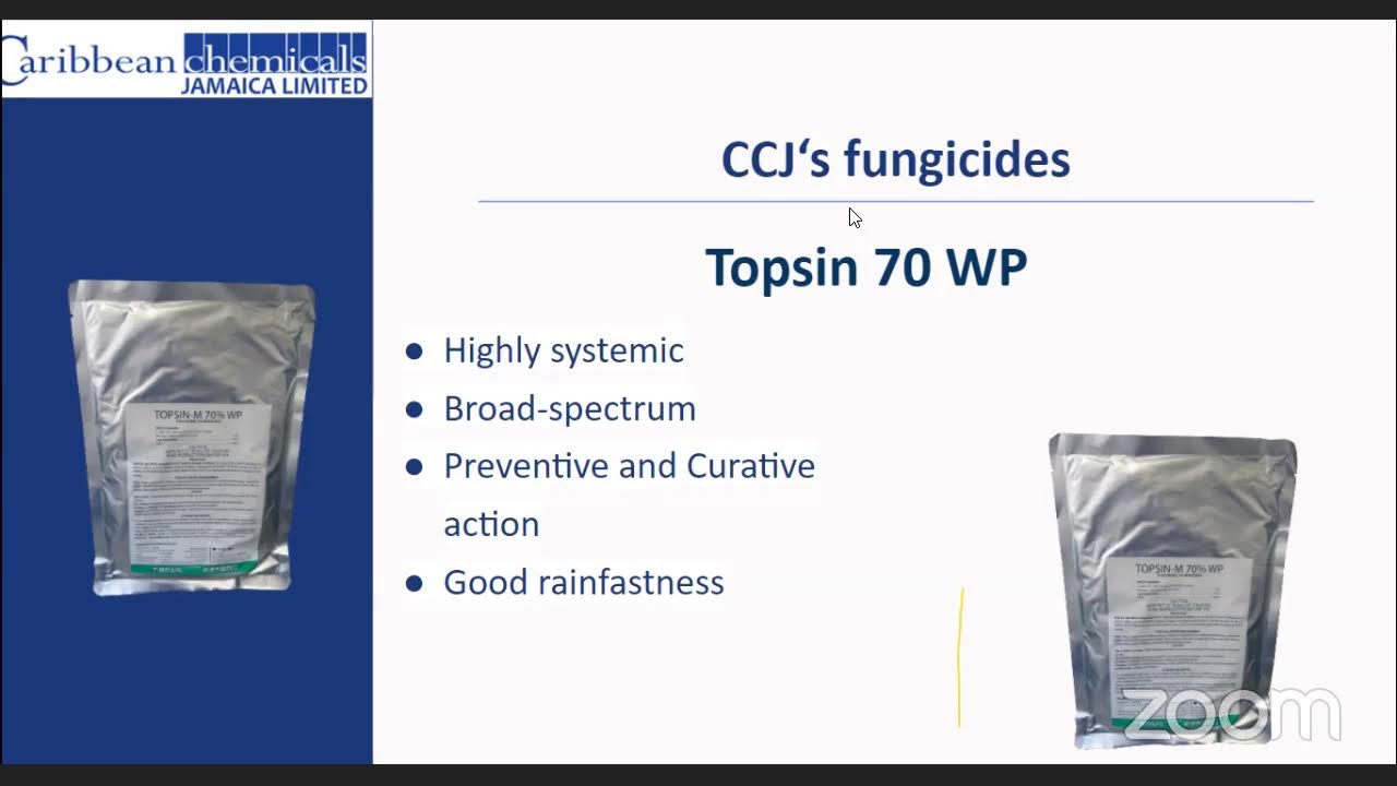 TOMATO PRODUCTION THE CCJ WAY: PESTS & DISEASES