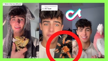 Kyle Thomas Animals TikTok Compilation #1 | Kyle Thomas Animals | Kyle Thomas Pets
