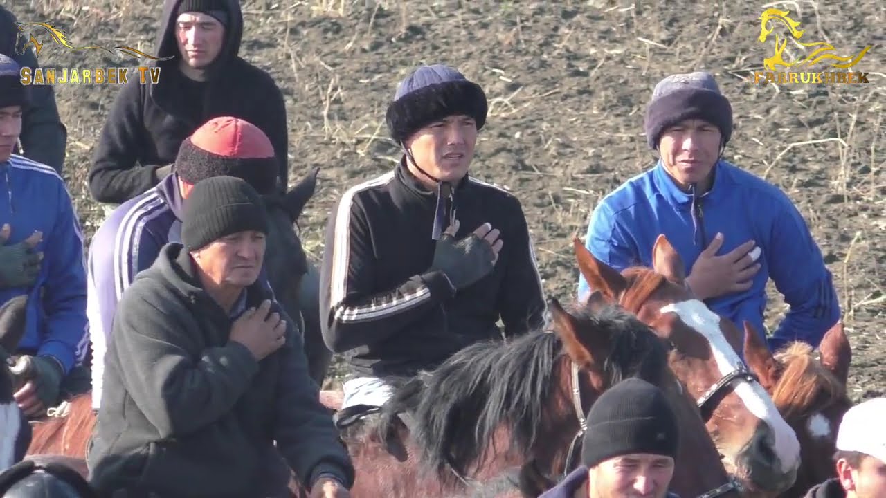 SAMARQAND VILOYATI BULUNGʻUR TUMANIDA SANJAR AKANING KATTA KOʻPKARISI 22.11.2024