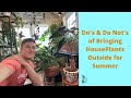 Moving Houseplants Outside for Summer: Do's & Do Not's