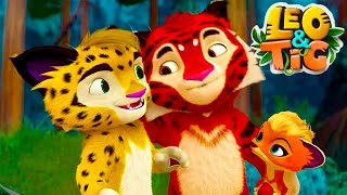 Leo and Tig  All episodes in row  Funny Family Good Animated Cartoon for Kids  LIVE
