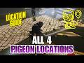 All 4 Pigeons Locations in the Tower (Birdfeeder Triumph Guide) [Destiny 2]