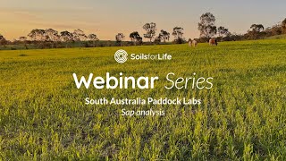 Soils For Life Webinar - Plant Sap Testing and Analysis