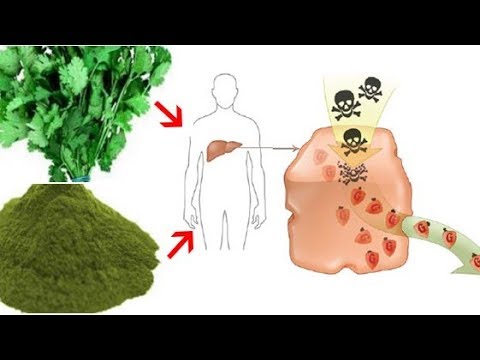 Wideo: Czy chlorella jest dobra na raka?