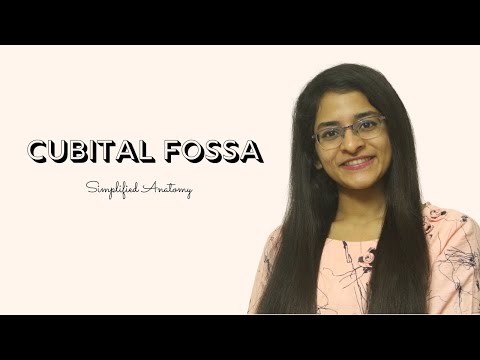 CUBITAL FOSSA |