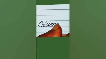 How to write Yamini in cursive handwriting