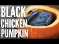 Cooking a Whole BLACK Silkie CHICKEN in a PUMPKIN - Chinese herbal soup