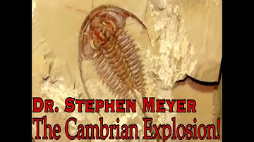 The Cambrian Explosion! | Dr. Steven Meyer | Biblicaltours