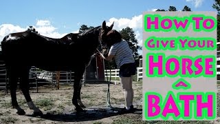 How To Give Your Horse A Bath