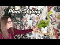 Plant Styling | Creating A New Houseplant Display With Hanging Wall Shelf