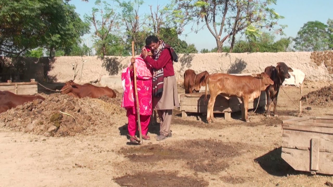 Wris Episode 1 Bahen Ne Apne Bhai Ko Qatal Kar Dia Emotional Story 