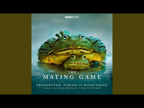 Watch The Mating Game (End Credits) on YouTube