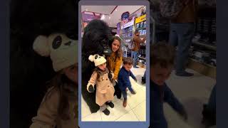 Cant. Stop Wont. Stop.