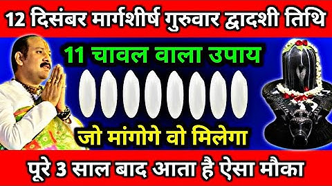 12 दिसंबर मार्गशीर्ष  गुरुवार द्वादशी तिथि को 11 चावल वाला उपाय जरूर करें || Pandit Pradeep Mishra