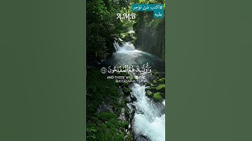 تلاوه هادئه| #اكتب_شي_تؤجر_عليه | #تلاوة_خاشعة #قرآن #قران_كريم #محمد_اللحيدان#A_M_B #راحة_نفسية