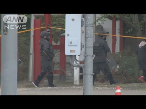 神社に居座ること4日 体長1m超のクマを捕獲 秋田(2025年5月7日)