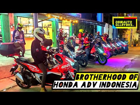 honda adv 150 saddlebolsas