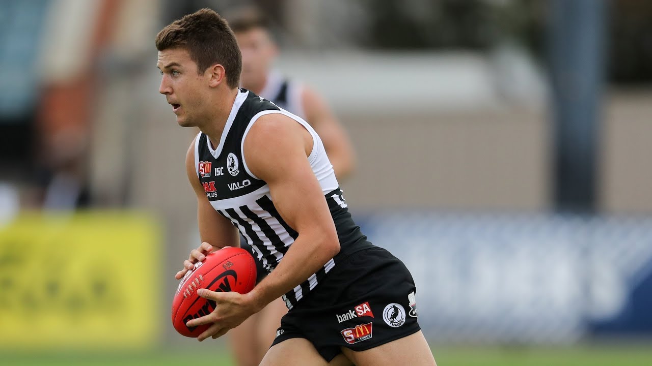 Jack Trengove SANFL highlights, 2018